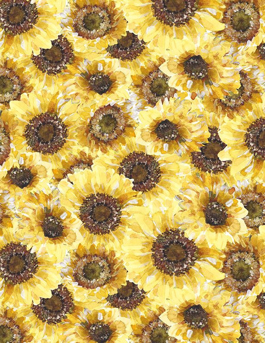 Sunflower Sweet - Packed Sunflowers Multi