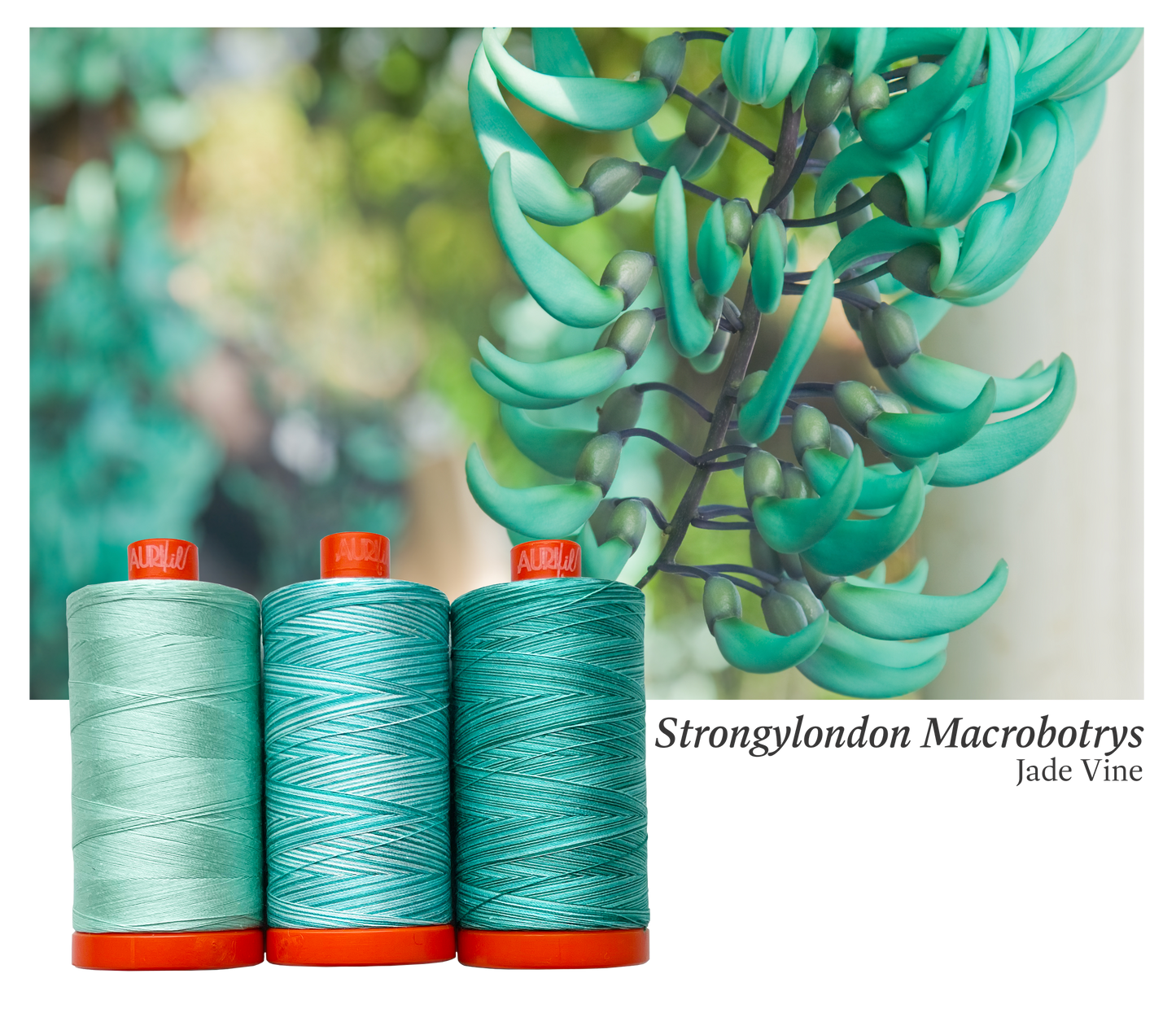 Aurifil Color Builders "Flora"- Août 2022 - Jade Vine - Licence To Quilt