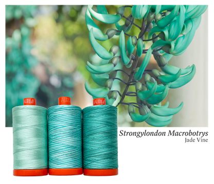 Aurifil Color Builders "Flora"- Août 2022 - Jade Vine - Licence To Quilt